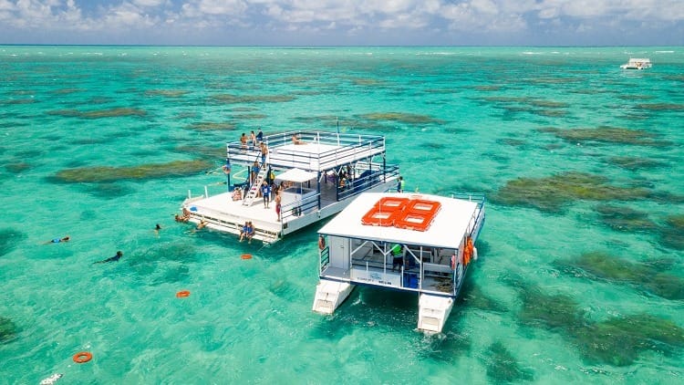 Parrachos de Perobas