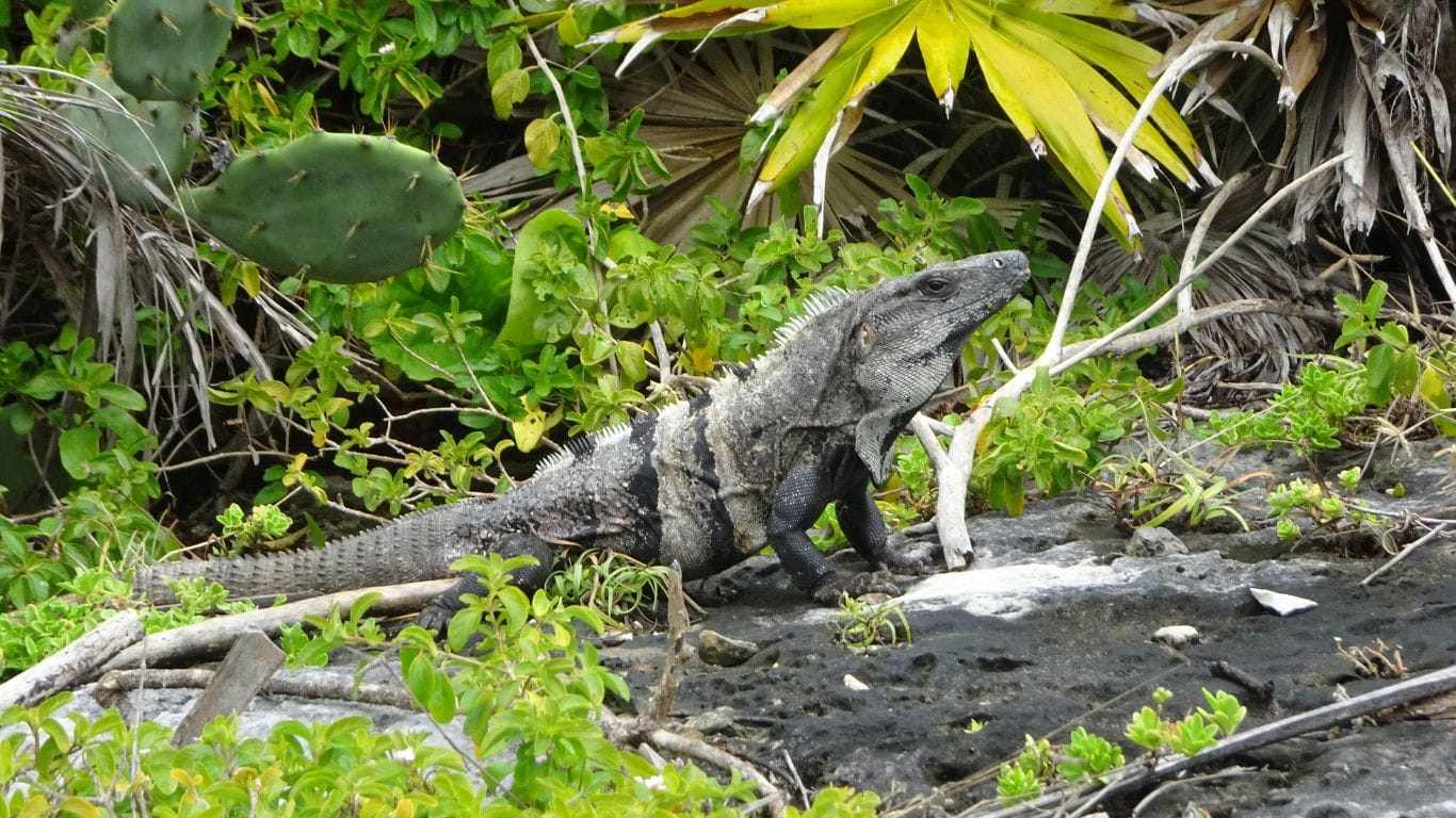 Ushuaia, El calafate e Buenos Aires_agencia de viagem_expert turismo