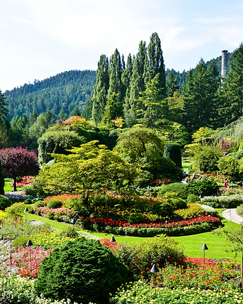 Pacote de viagem para Canadá_Expert turismo_agencia de viagem (1)