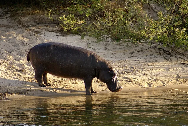 pacote de viagem-QUÊNIA-TANZÂNIA-COM-ZANZIBAR (13)