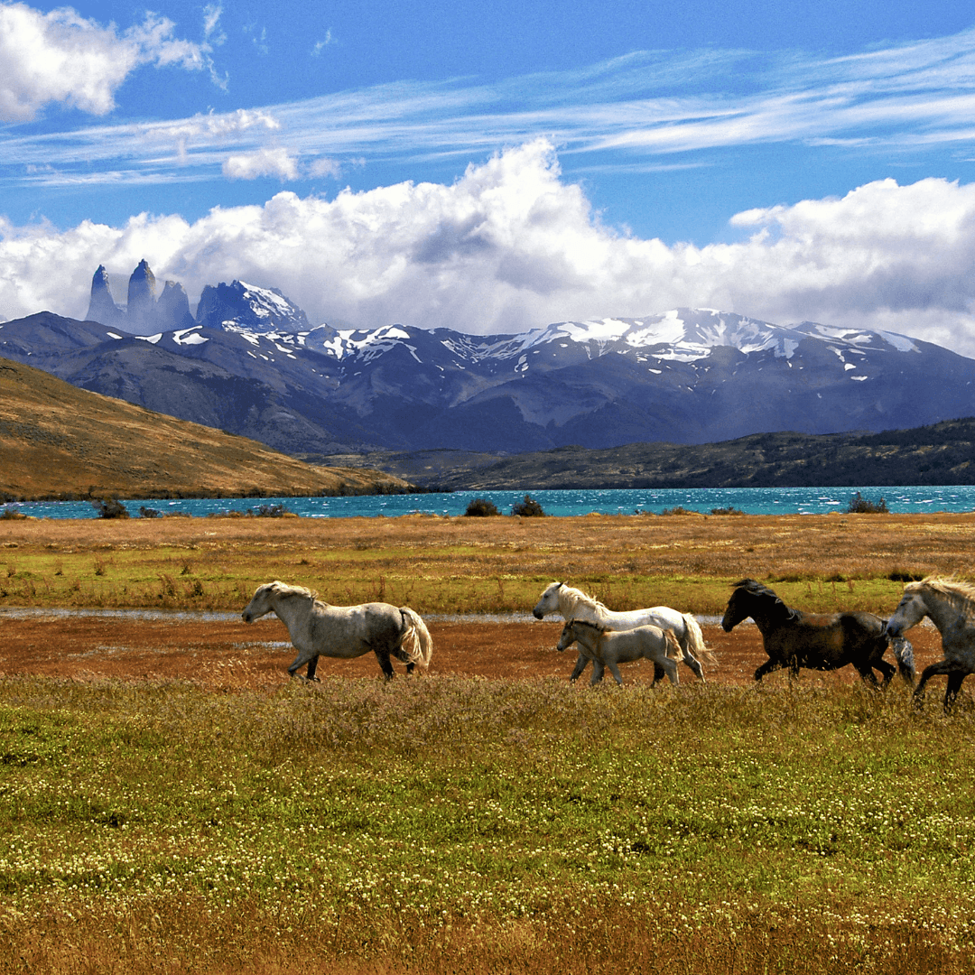 Por que a Patagônia Deve Estar na Sua Lista de Destinos de Verão (5)
