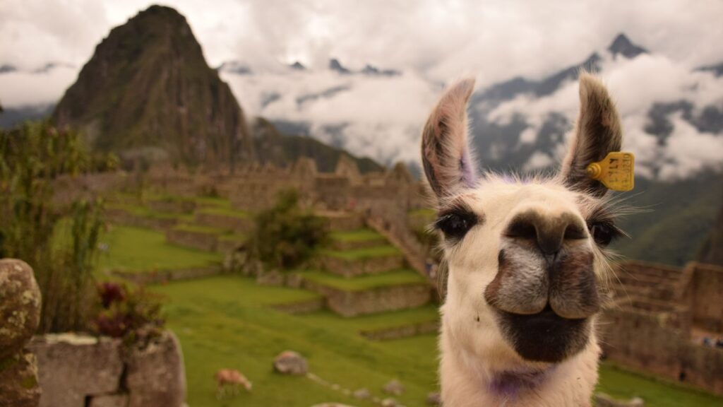 Machu Picchu_Turismo no Peru_Trilha Inca_Viagem para Machu Picchu_Vale Sagrado dos Incas