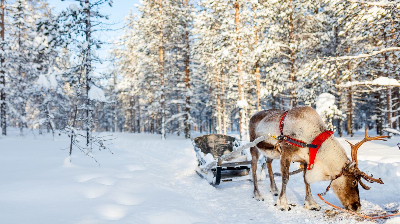 Aurora boreal na Noruega – Onde ver, roteiro e dicas (3)