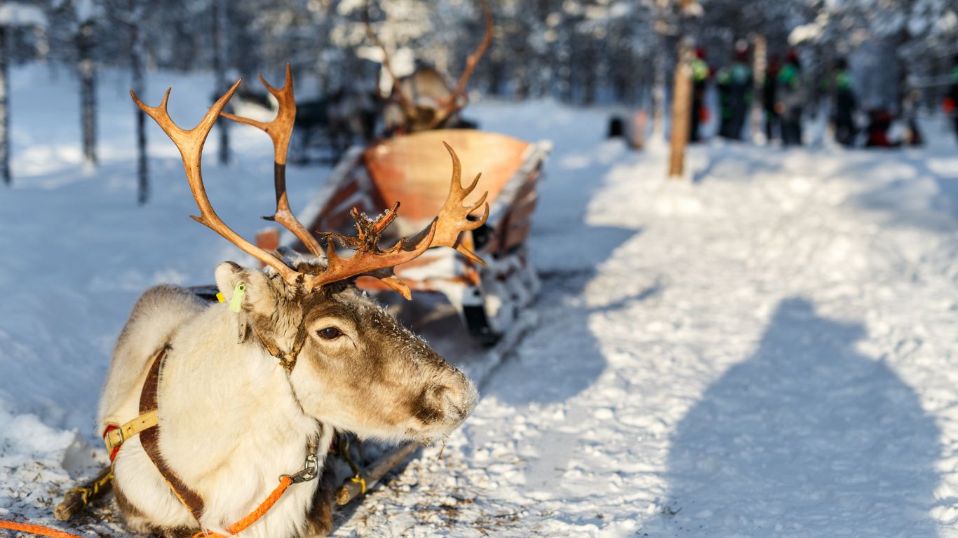 Aurora boreal na Noruega – Onde ver, roteiro e dicas (4)
