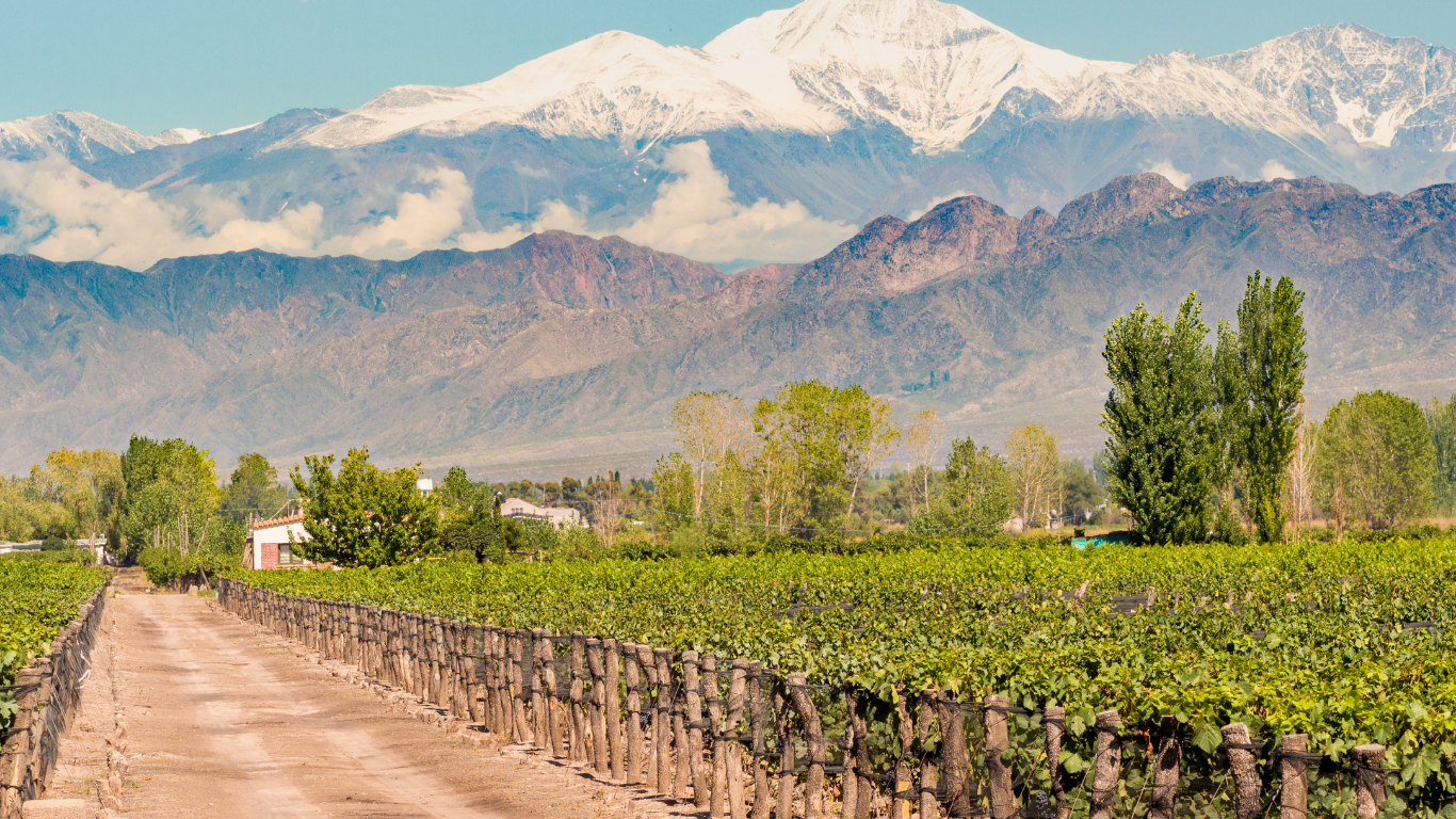 Mendoza Xperience Vinhos, luxo e Cordilheira dos Andes (1)