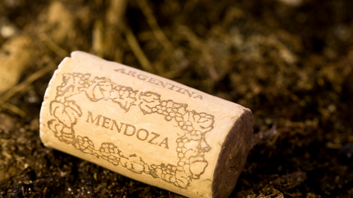 Mendoza Xperience Vinhos, luxo e Cordilheira dos Andes (6)