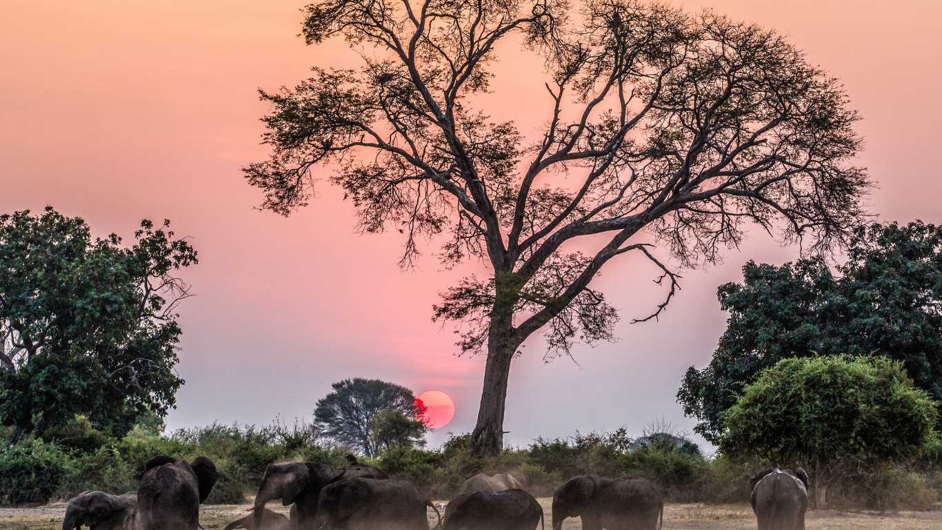 Rovos Rail África 2026 Trem de Luxo (7)