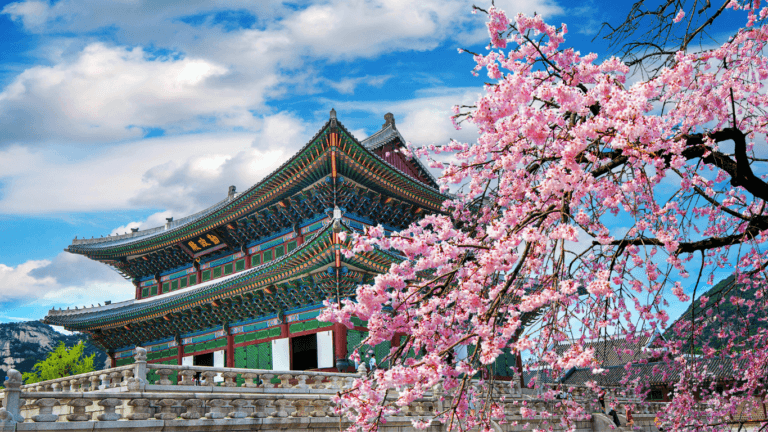 Japão, Coreia do Sul e Singapura na Primavera 2027: Roteiro Completo